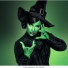 Austrian premiere of Wicked at the Baden Theatre has been announced