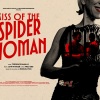 Kiss of the Spider Women announced full cast after Layton Williams withdraws