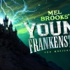 Young Frankenstein transfers to Liverpool Everyman & Playhouse for Christmas